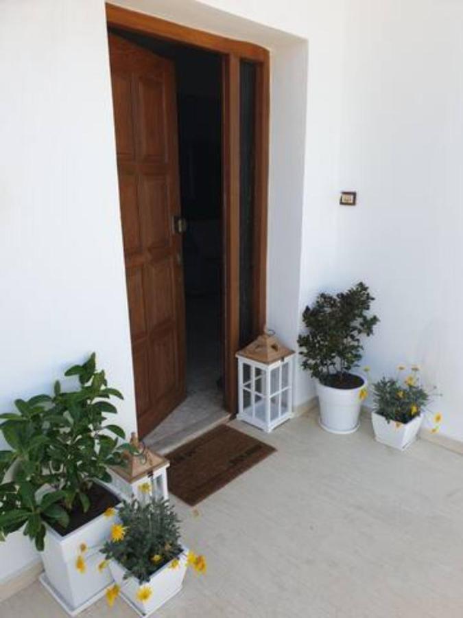 Palaikastro Holiday Apartment Szitía Kültér fotó